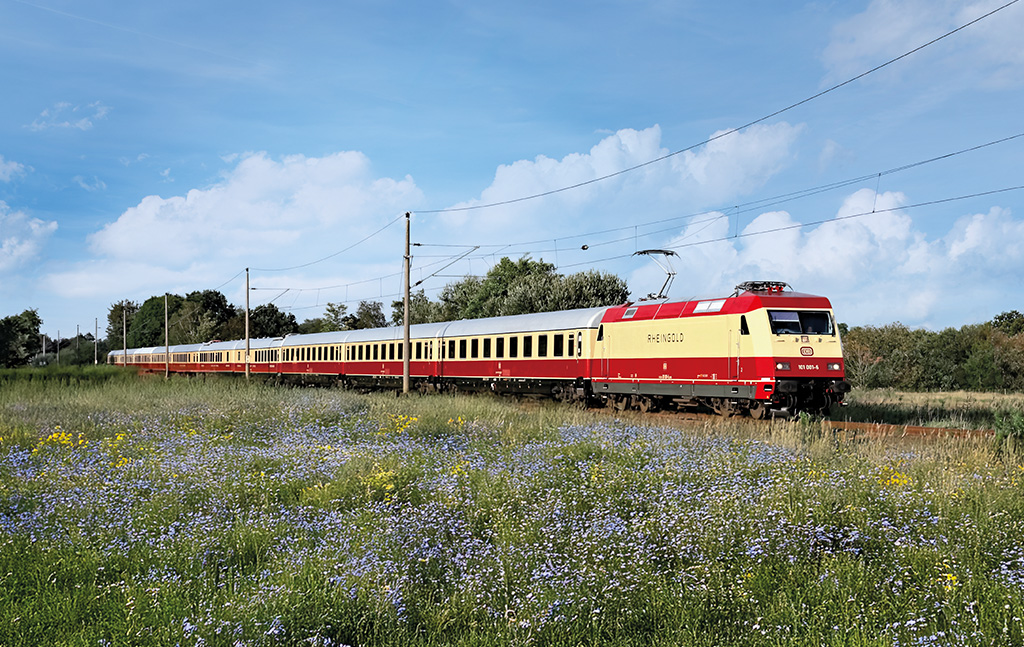 Roter und cremefarbener AKE-RHEINGOLD fährt durch eine bunte Blumenlandschaft unter blauem Himmel