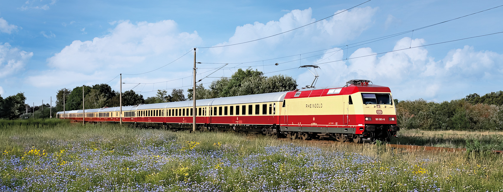 Roter und cremefarbener AKE-RHEINGOLD fährt durch eine bunte Blumenlandschaft unter blauem Himmel