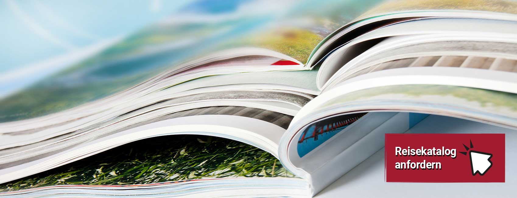 Header-Katalog_Desktop©Pixelot-stock.adobe.com