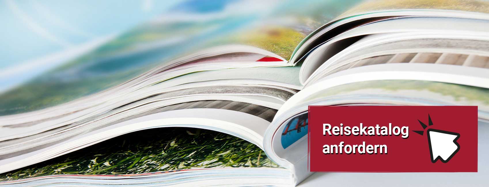 Header-Katalog©Pixelot-stock.adobe.com