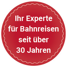 Icon-Experte