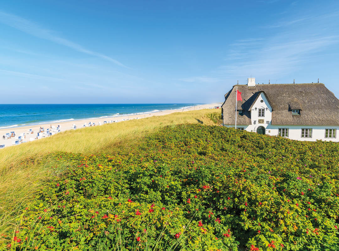 MT_West_05.-10.07.26_Sylt_mobil