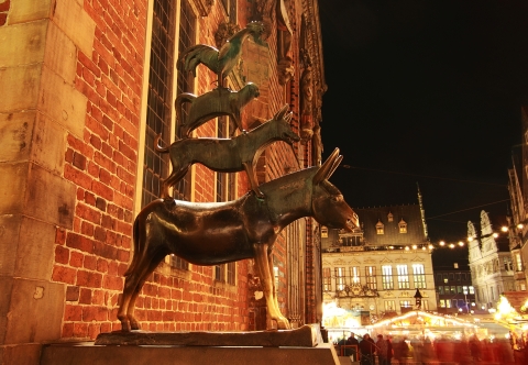 ©Olha Rohulya - stock.adobe.com