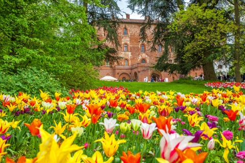 ©elitravo - stock.adobe.com