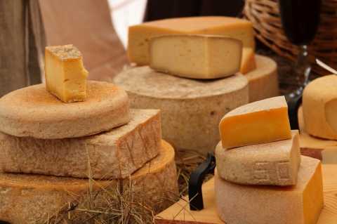 ©Tatyana - stock.adobe.com