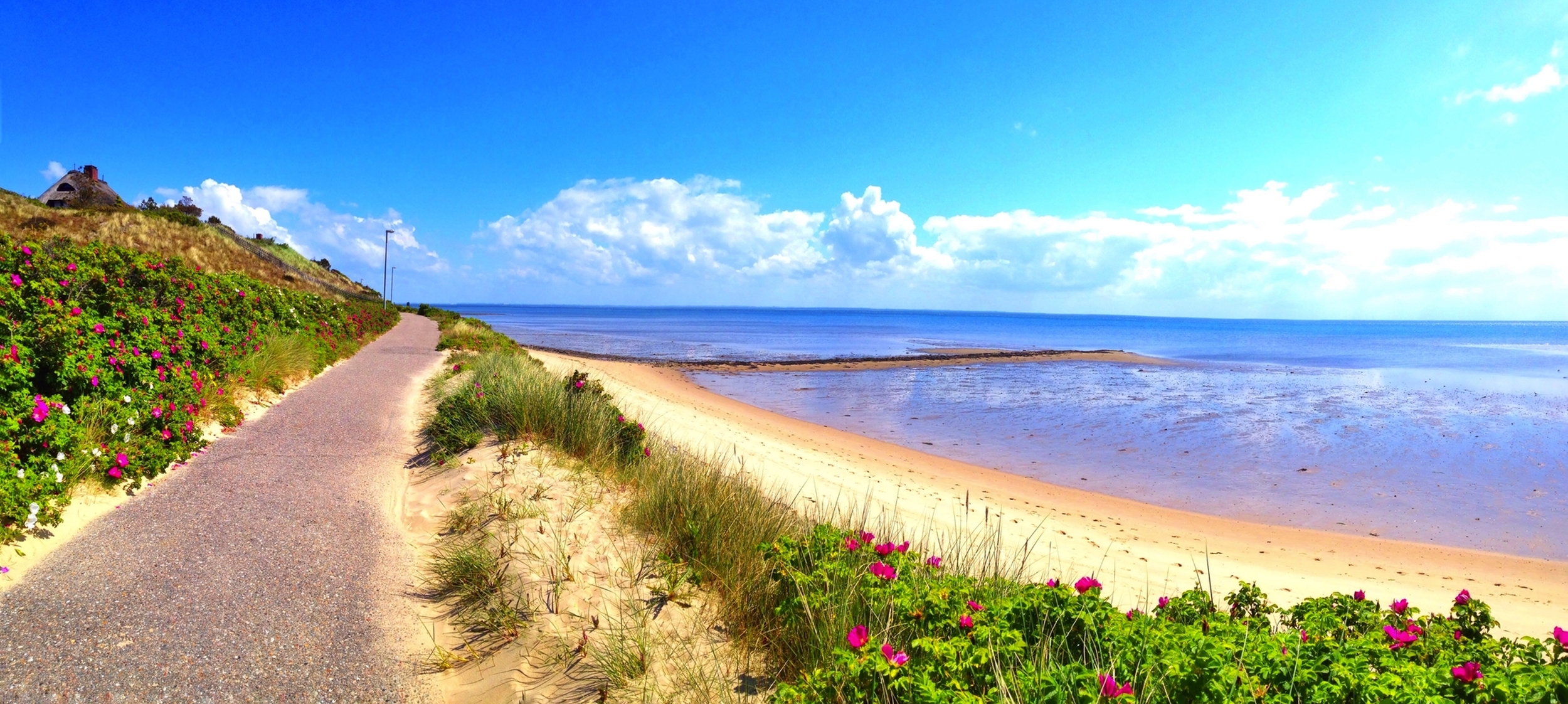 ©Rosalie P. - stock.adobe.com