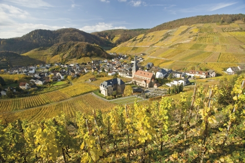 ©Rheinland-Pfalz Tourismus GmbH