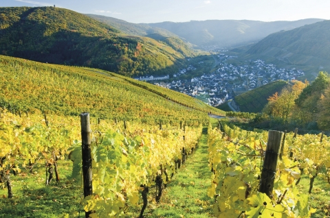 ©Dominik Ketz - Rheinland-Pfalz Tourismus GmbH