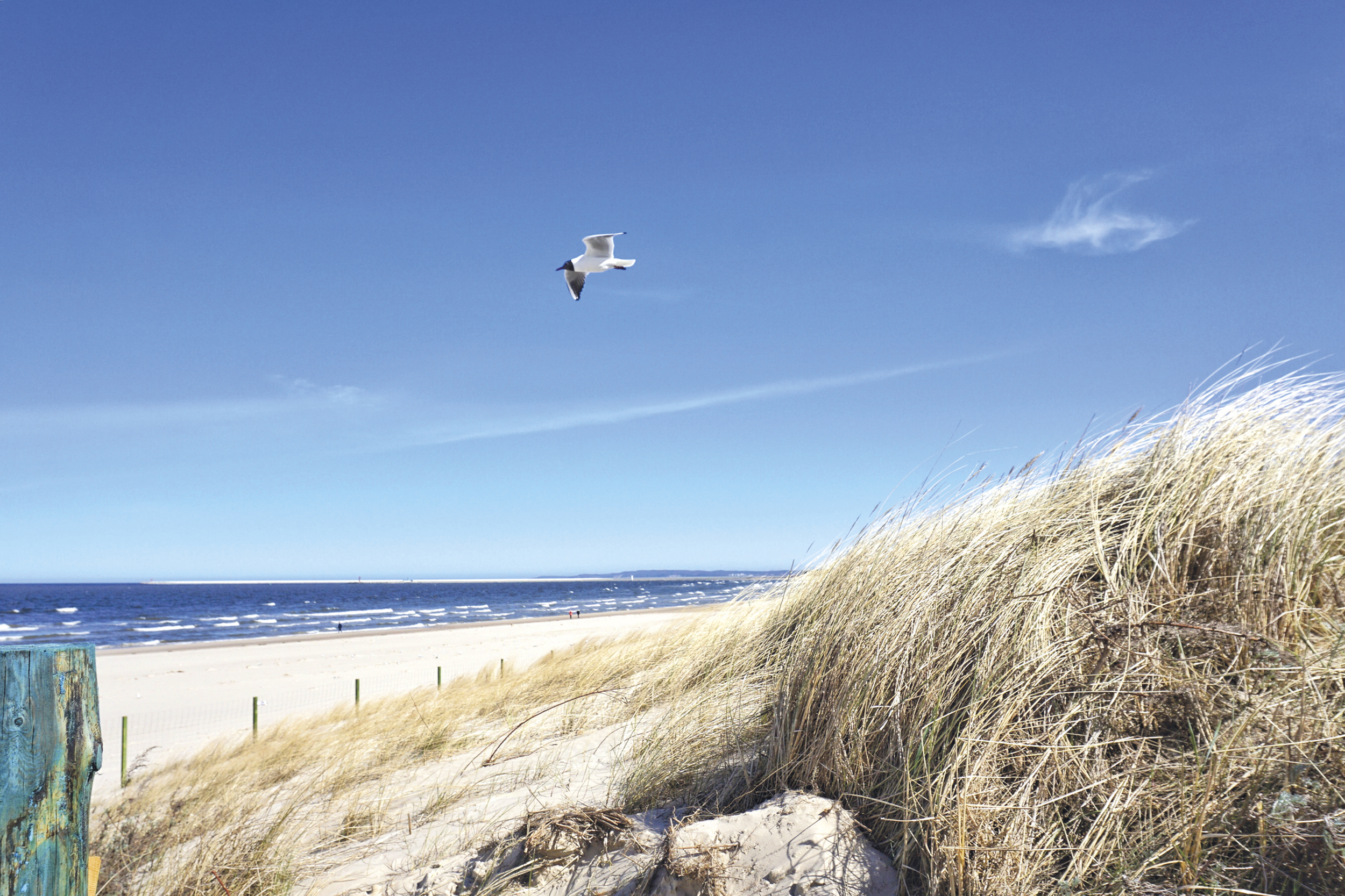 ©USkerra - pixabay