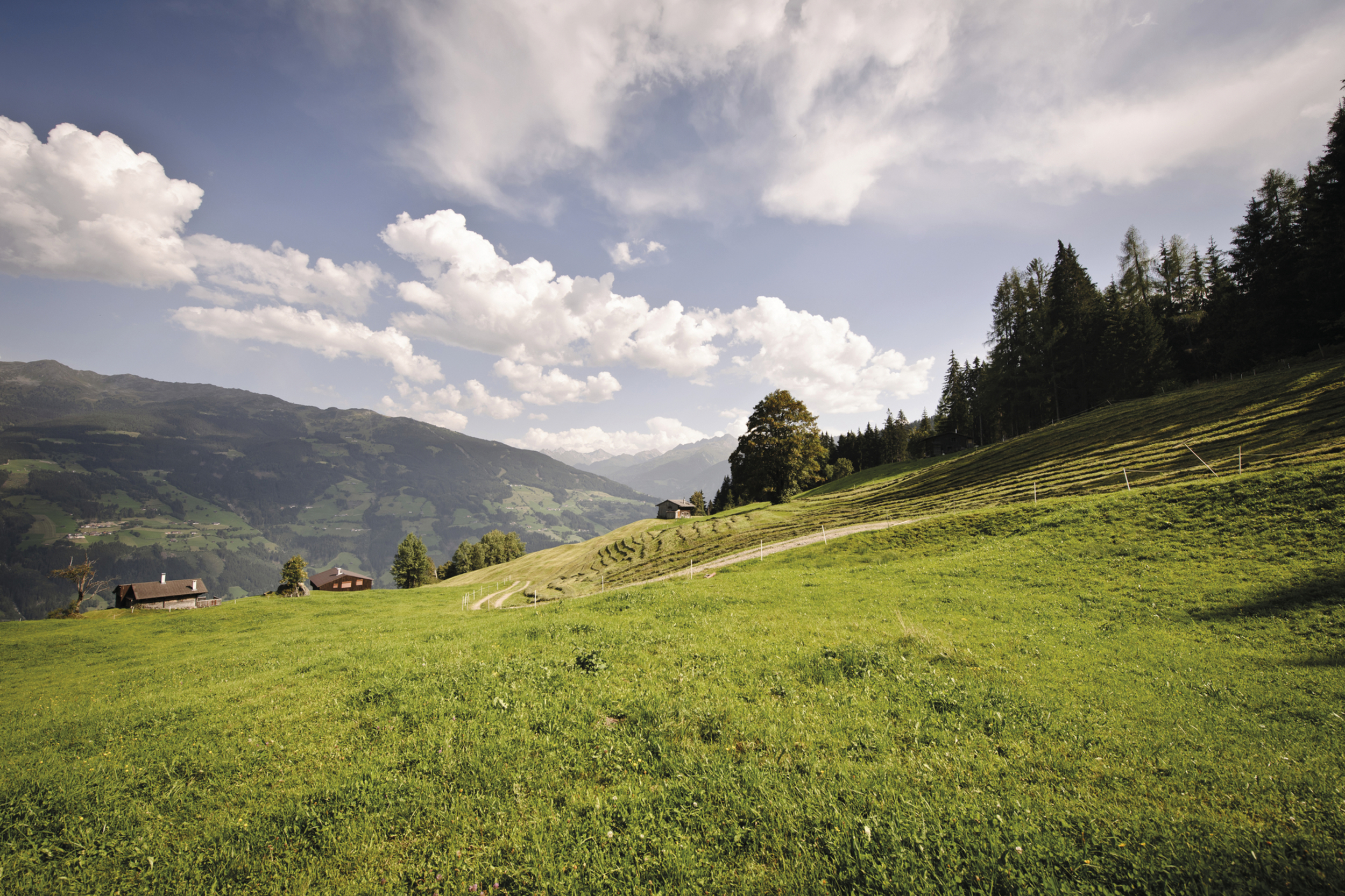 ©Andre Schönherr - Zillertal Tourismus GmbH