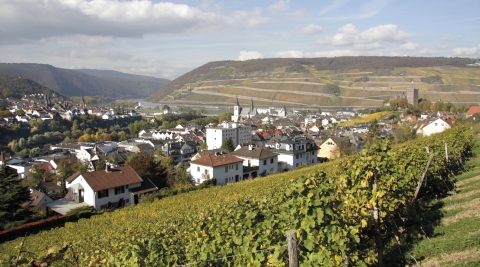 ©Stadt Bingen am Rhein