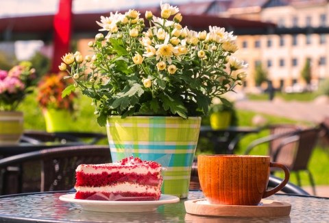 © Inga - stock.adobe.com