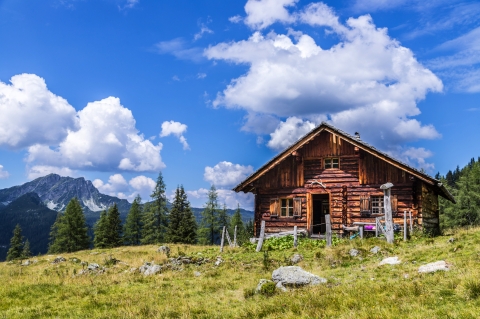 © Patrick Daxenbichler - stock.adobe.com
