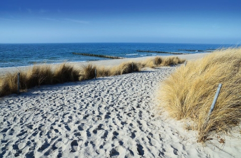 © geckolo - Fotolia