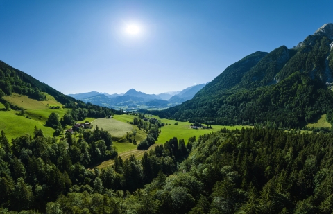 © Thomas Schuetz - stock.adobe.com
