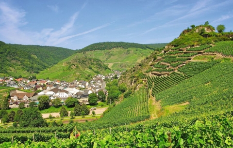 © travelpeter - Fotolia