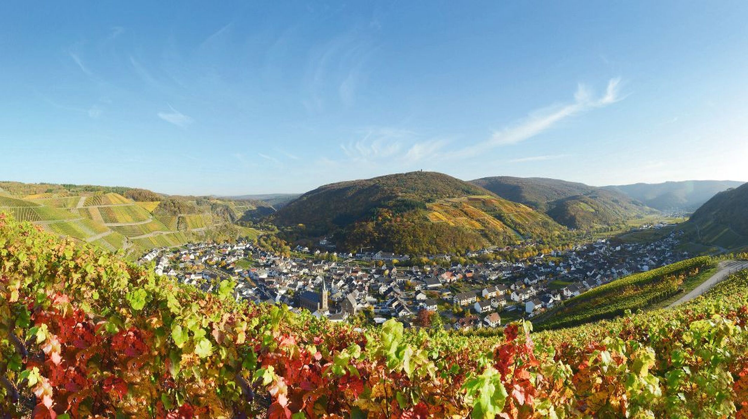 © Stefan Körber - Fotolia