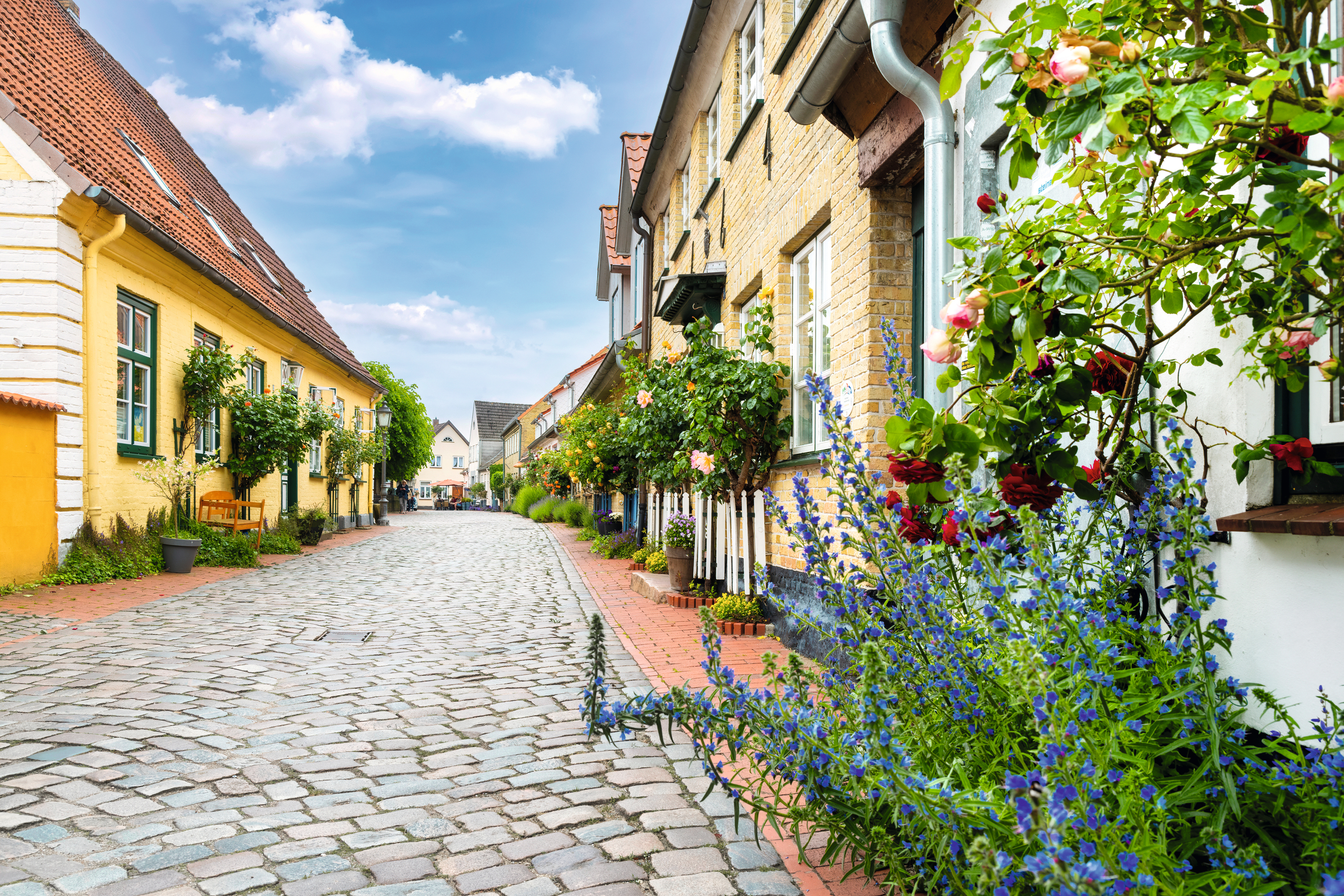 © EKH-Pictures - stock.adobe.com