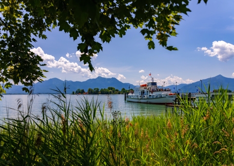 © ON-Photography - stock.adobe.com