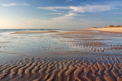 © Thorsten Schier - stock.adobe.com