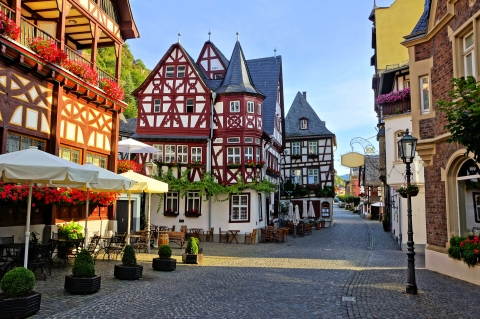 © Jenifoto - stock.adobe.com