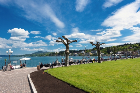 © Sonja Birkelbach - stock.adobe.com