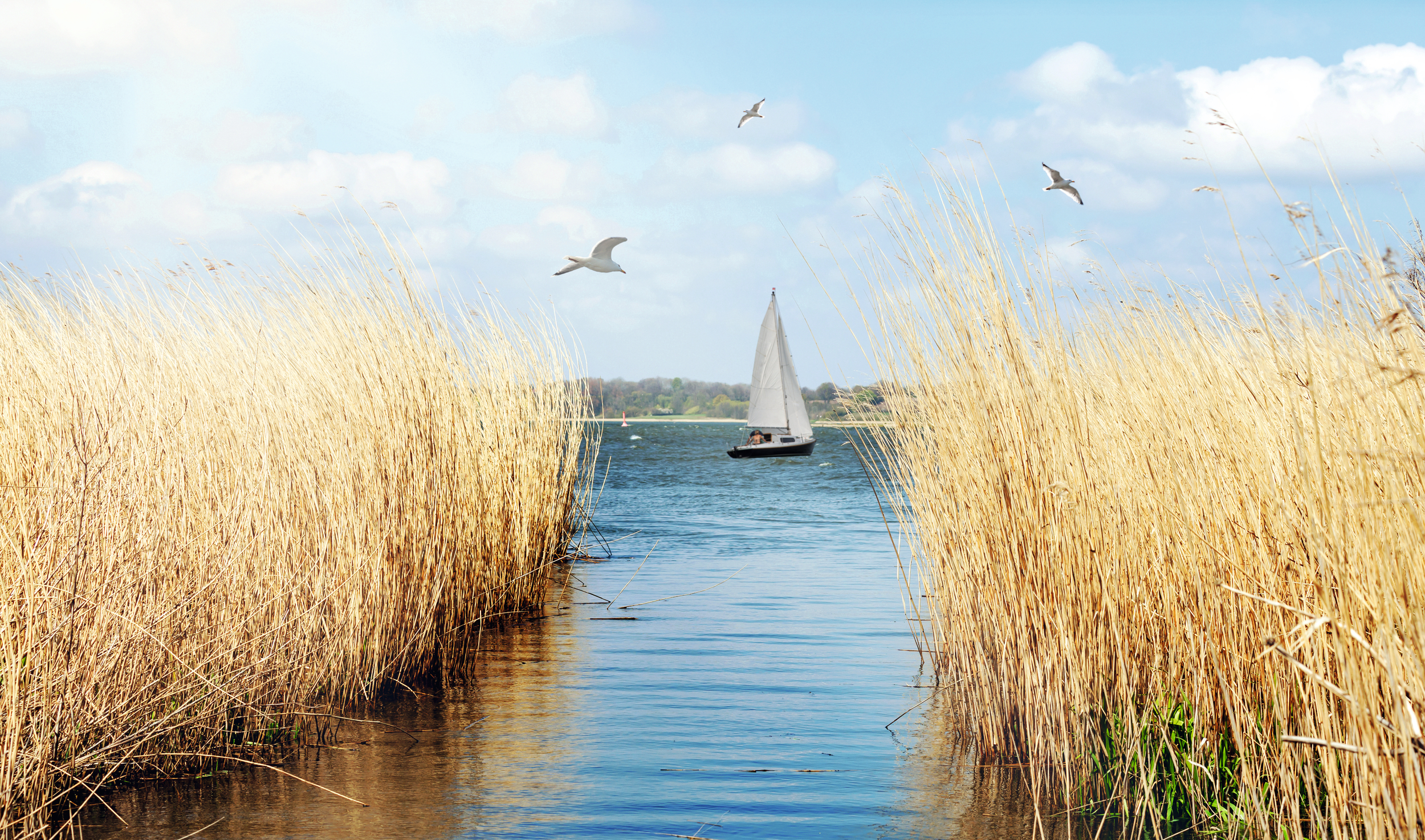 © Gabriele Rohde - stock.adobe.com