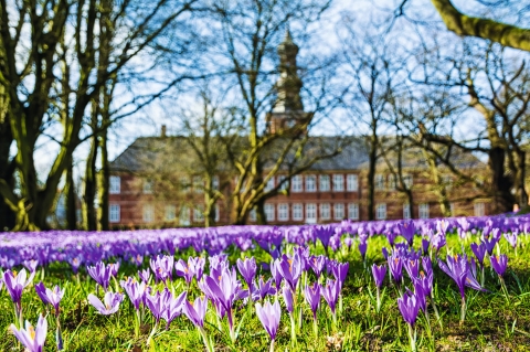 © Andreas - stock.adobe.com