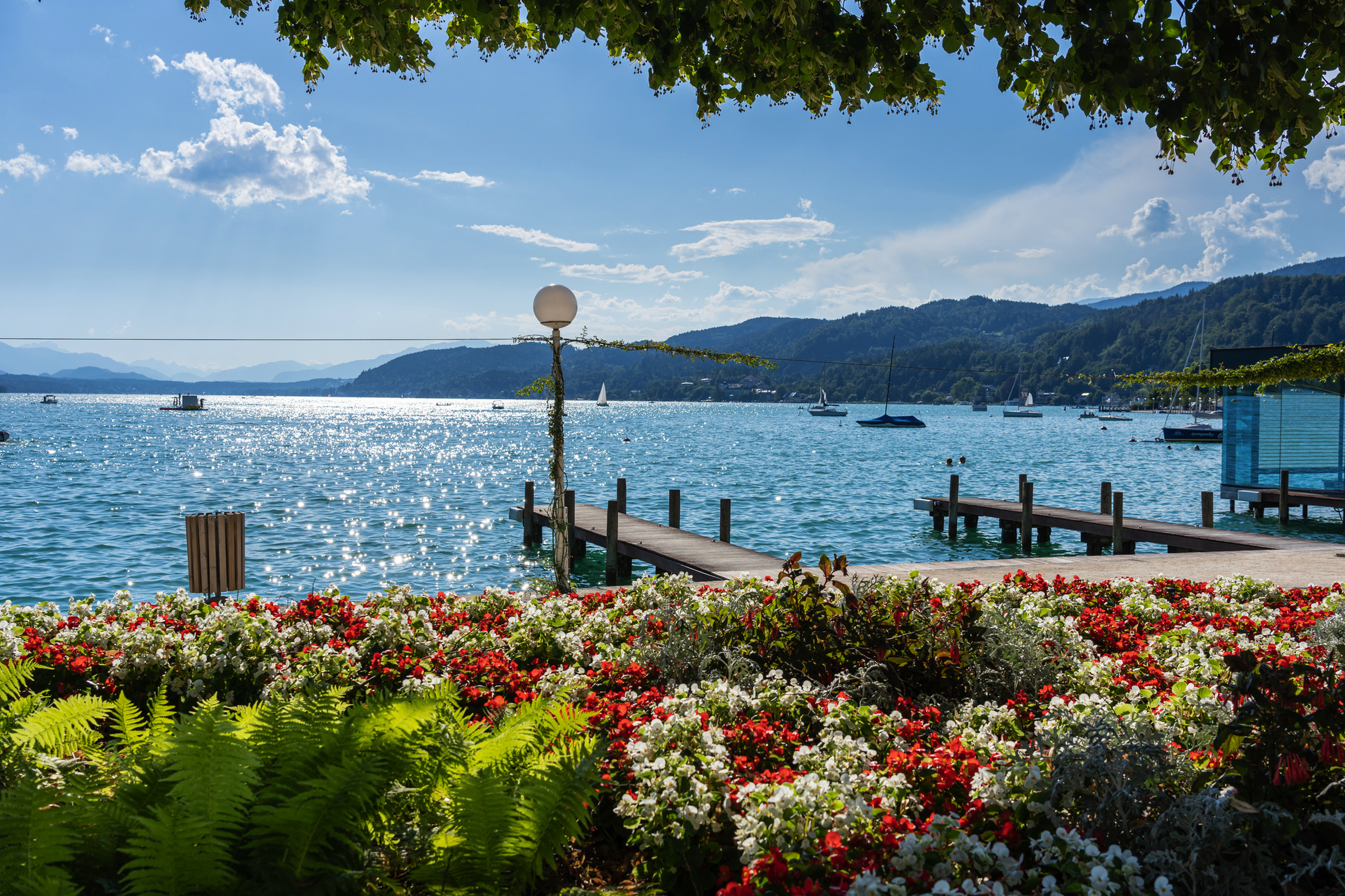© David Irlweg - stock.adobe.com