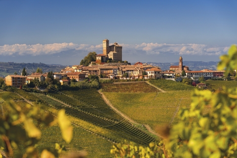 Pixelshop_stock.adobe.com