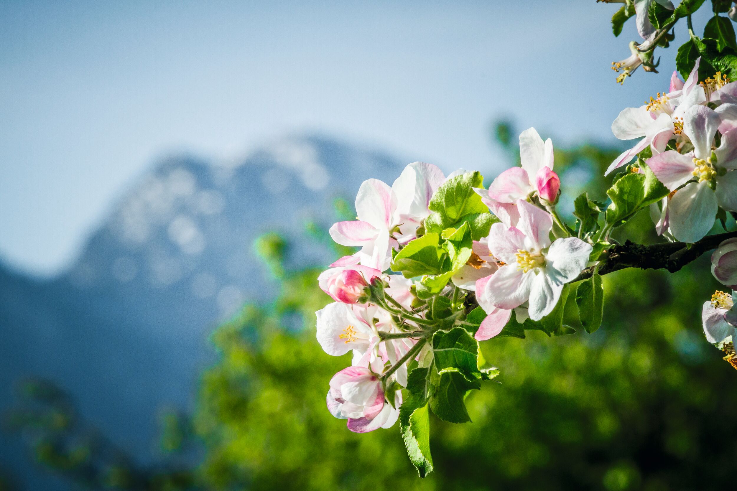 ©Chiemsee-Alpenland Tourismus und Thomas Kujat