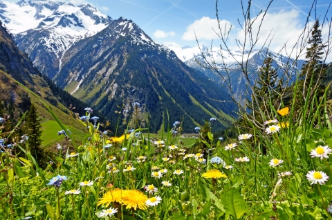 © by paul - Fotolia