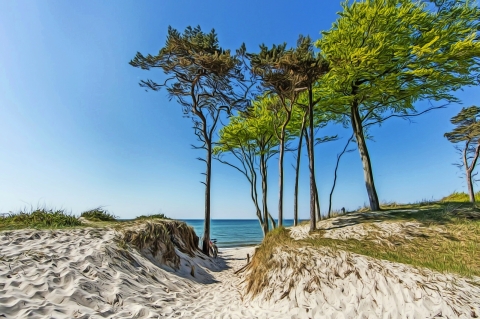 © haiderose - Fotolia