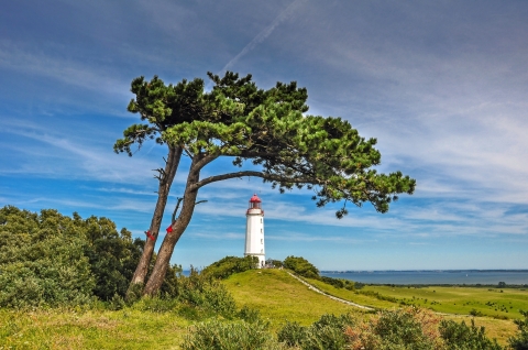 ©Henry Czauderna - Fotolia 