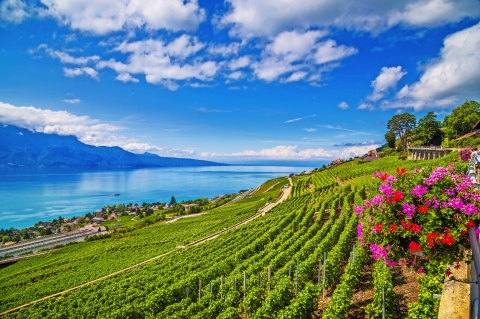 © JFL Photography - stock.adobe.com