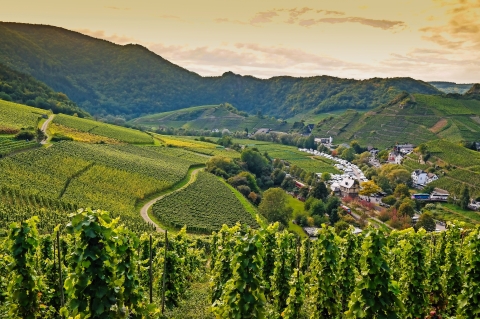 © julia_sergeeva - stock.adobe.com